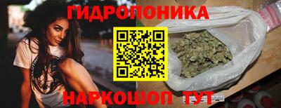 spice Обнинск
