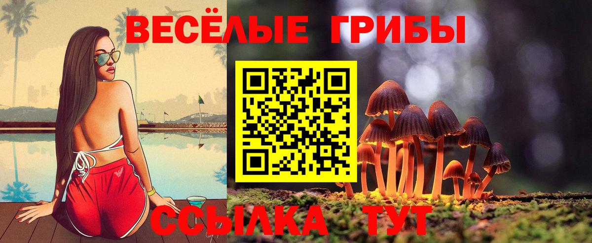 Сочи  Галлюциногенные грибы GOLDEN TEACHER  Вход с VPN 